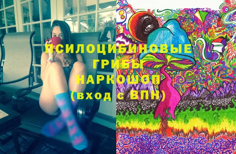 Галлюциногенные грибы Magic Shrooms  где купить наркоту  KRAKEN   Дальнереченск 